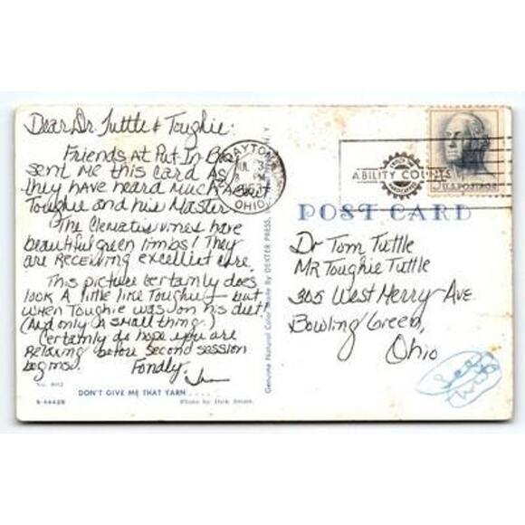 Vintage Put-in-Bay Ohio Cat Postcard 'Don't Give Me That Yarn' Litho - Picture 2 of 2